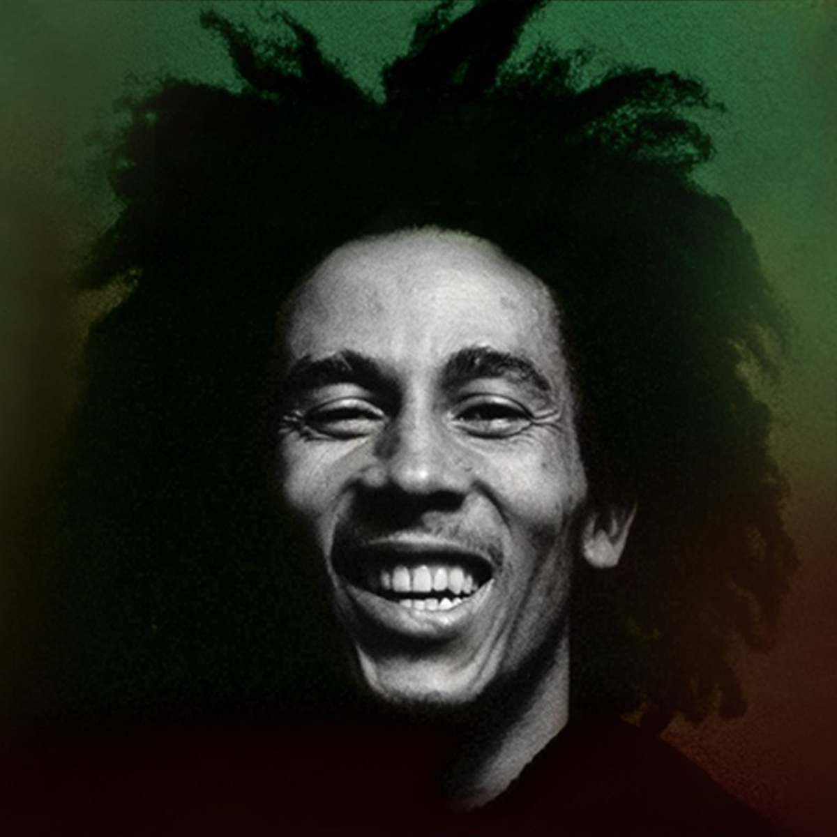 Marley Experience